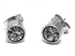 Stainless Steel Earrings ES-0024F