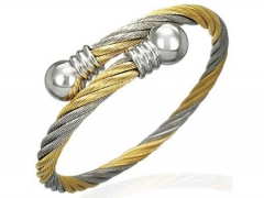 Stainless Steel Bangle ZC-0032D