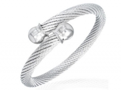Stainless Steel Bangle ZC-0111