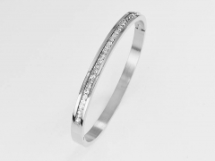 Stainless Steel Bangle ZC-0430A