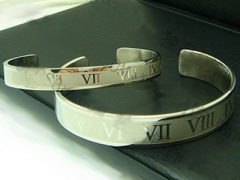 Stainless Steel Bangle ZC-0034