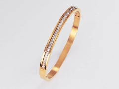 Stainless Steel Bangle ZC-0430C