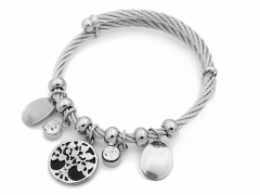 Stainless Steel Bracelet BS-0927