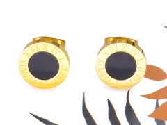 Stainless Steel Earrings ES-1617