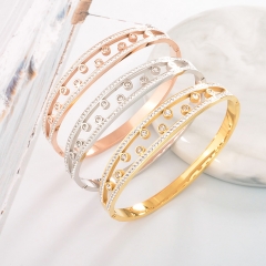 Stainless Steel Bangle ZC-0515