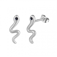 316L Stainless steel earrings  PE344K